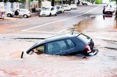 ¿Están los sumideros conectados a la crisis climática?