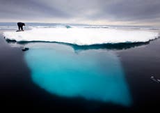 Groenlandia suspende la búsqueda de petróleo