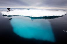 Groenlandia suspende la búsqueda de petróleo