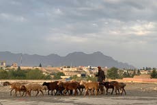 Afganistán: caen proyectiles cerca de palacio presidencial