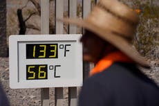 Olas de calor e incendios forestales: por qué las temperaturas extremas son tan mortales