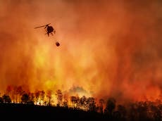 Reducen la pena de prisión a mujeres reclusas después de su trabajo como bomberas durante los incendios forestales del 2020