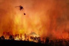 Reducen la pena de prisión a mujeres reclusas después de su trabajo como bomberas durante los incendios forestales del 2020