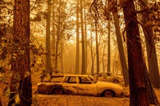 Aseguradoras abandonan granjas de California mientras incendios hacen más inhabitable el estado