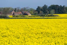 Estudio: Dialectos regionales del idioma inglés podrían perder palabras en 45 años