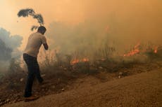Incendios forestales en Líbano cruzan la frontera a Siria