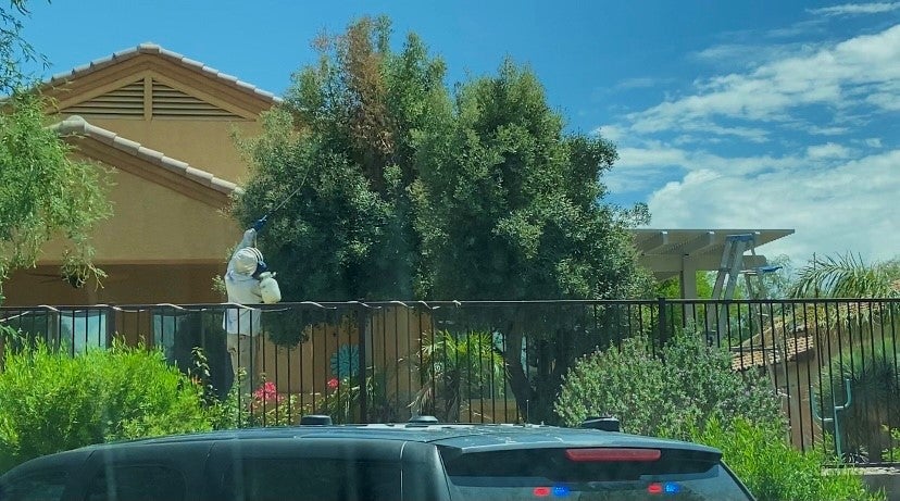 Muere hombre por una colmena de abejas de 45 kilos en Arizona