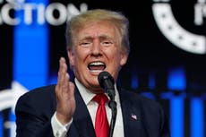 Mark Meadows dice que Trump se reunió con “miembros del gabinete” a pesar de no tener gabinete