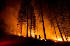EEUU: Bomberos logran avances en la lucha contra incendios