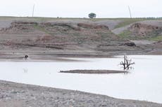 Hallan otros 6 cadáveres en río entre Tigray y Sudán