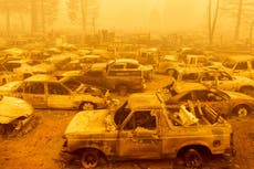 Satélites, inteligencia artificial y 800 cámaras: dentro de la carrera para prevenir incendios forestales