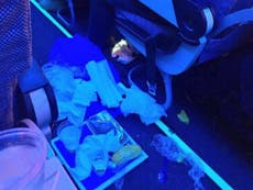 Pasajero de aerolínea criticado por arrojar comida a bordo en el pasillo del avión