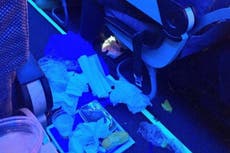Pasajero de aerolínea criticado por arrojar comida a bordo en el pasillo del avión