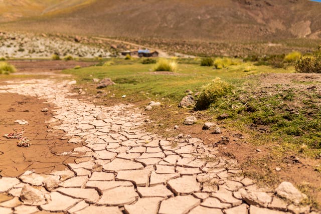 <p>A medida que aumentan las temperaturas, las sequías son cada vez más frecuentes, señala un informe.</p>