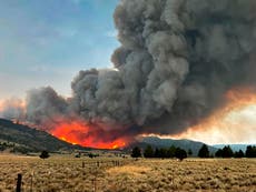 Humo de incendios forestales relacionado con 19 mil casos adicionales de COVID al oeste de EE.UU.