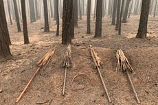 Incendio en California amenaza viviendas