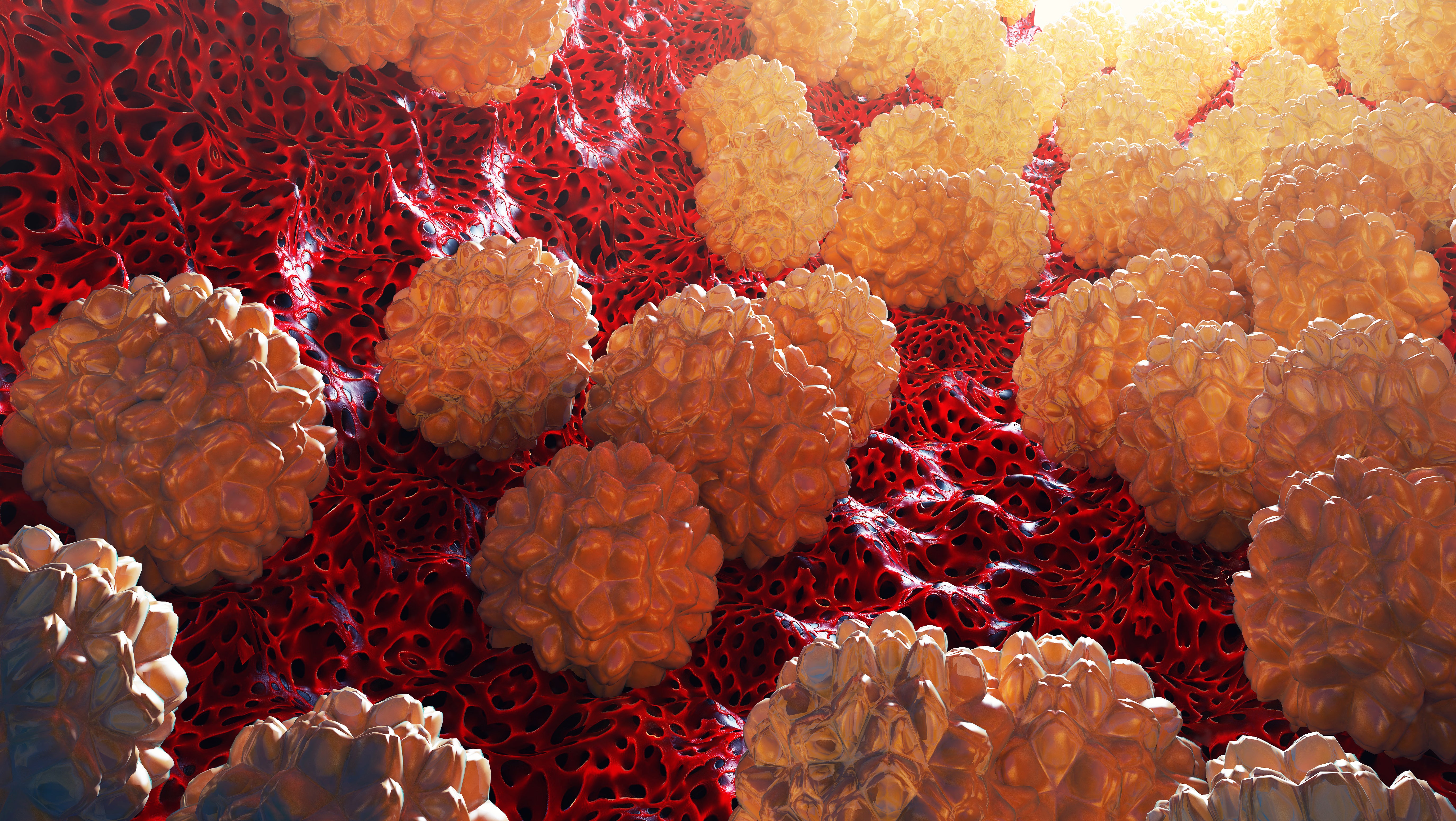 Nueva hipótesis indica que la clamidia podría aumentar riesgo de cáncer de ovario y embarazo ectópico