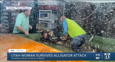 Invitados de un parque temático rescatan a una cuidadora que fue atacada por un caimán en Utah