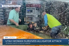 Invitados de un parque temático rescatan a una cuidadora que fue atacada por un caimán en Utah