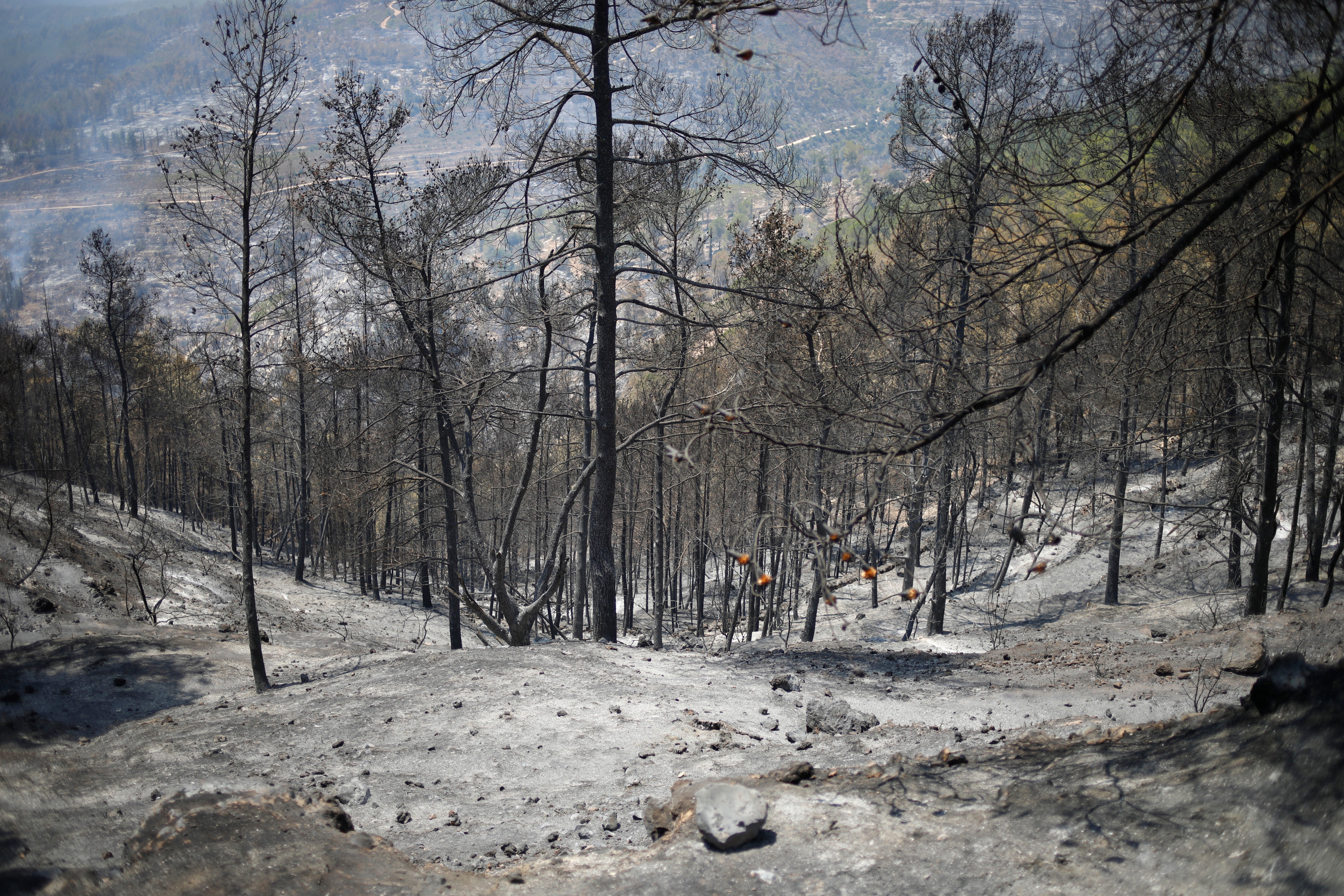 ISRAEL-INCENDIOS