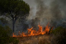 Miles huyen de casas, campamentos por incendios en Francia
