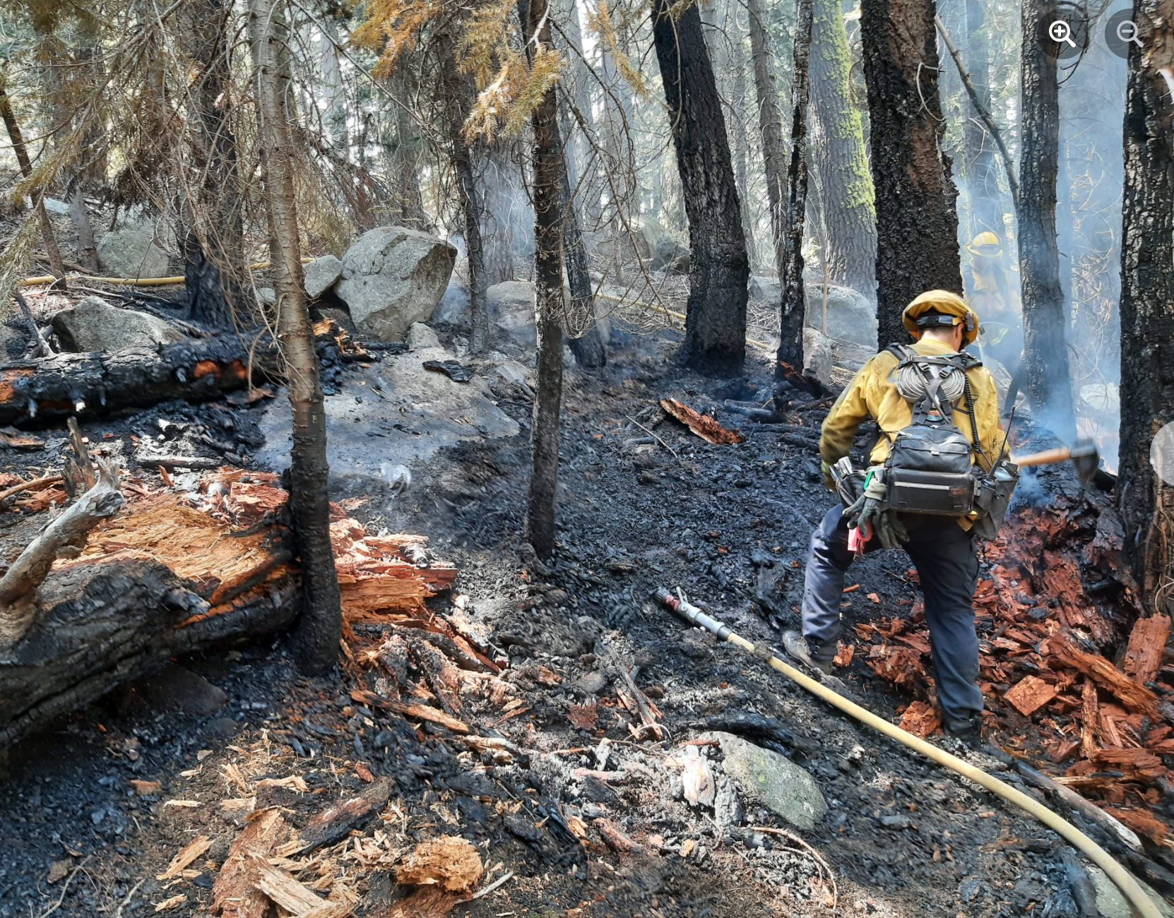 Acusan a mujer en bikini de iniciar incendio cerca del lago Tahoe en California