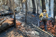 Acusan a mujer en bikini de iniciar incendio cerca del lago Tahoe en California