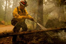Vientos animan incendios forestales en California
