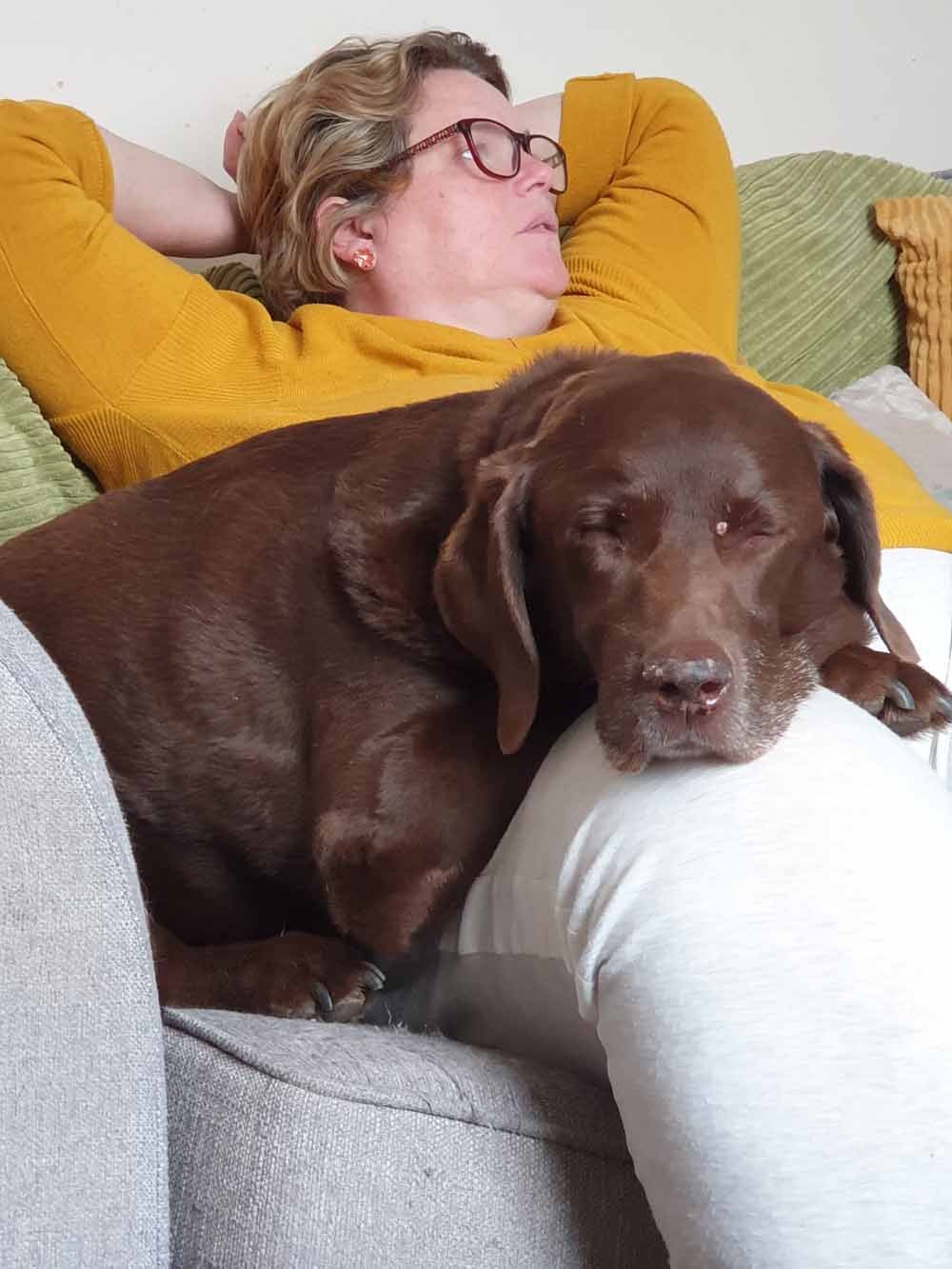 ‘Fue como perder a un hijo’: una mujer cuenta como dejó su trabajo por 15 días tras de la muerte de su perro 