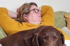 ‘Fue como perder a un hijo’: una mujer cuenta como dejó su trabajo por 15 días tras de la muerte de su perro