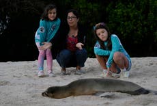 Club de las Chicas con Agallas hace ciencia en Galápagos