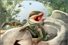 Científicos encuentran especies fósiles que son precursoras de la mayoría de los reptiles modernos