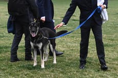 Psaki acusada de mentir sobre los ataques de mordedura del perro de Biden, Major