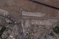 Evacuación de animales de Kabul genera debate en GBretaña