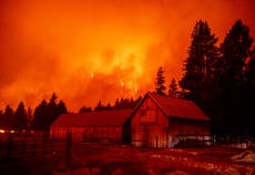 California cierra todos los bosques nacionales antes del feriado del  Día del Trabajo debido a incendios