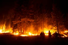 California: Bombero asignado a incendio muere de enfermedad