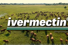 Gobierno de Claudia Sheinbaum experimentó con pacientes covid-19 sin su consentimiento, acusan