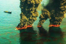 Las ostras del Golfo de México plagadas de anomalías causadas por el derrame de petróleo del 2010