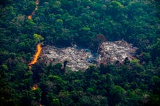 Cop26: líderes prometen detener la deforestación para 2030, pero los activistas dicen que se necesita acción ahora