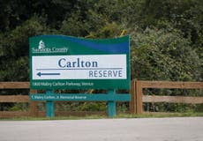 ¿Qué es Carlton Reserve, el vasto pantano donde posiblemente se esconde Brian Laundrie?