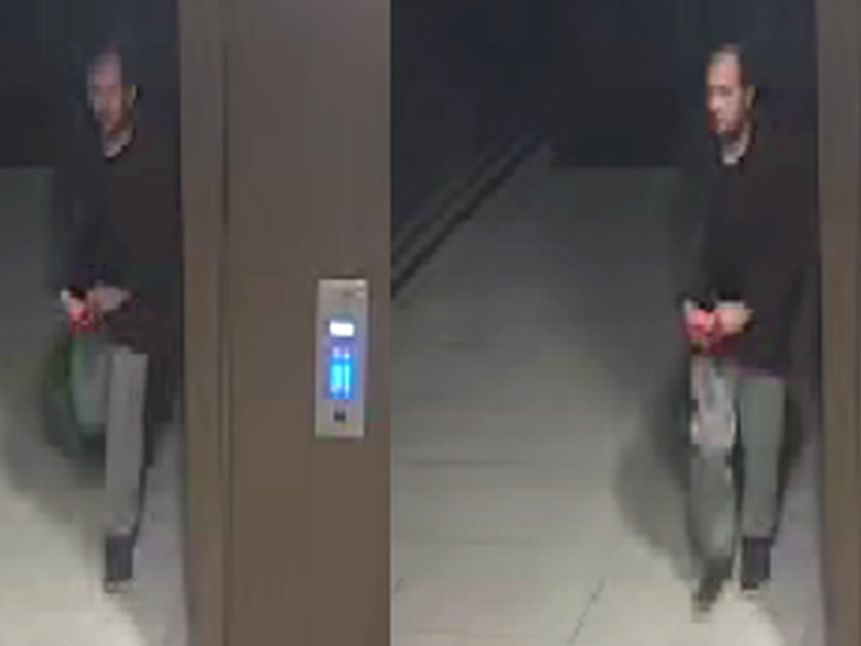 Liberan a hombre detenido por el asesinato de Sabina Nessa 