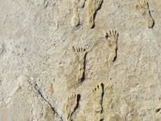 Huellas fósiles muestran a los humanos en América del Norte 11 mil años antes de lo que se pensaba