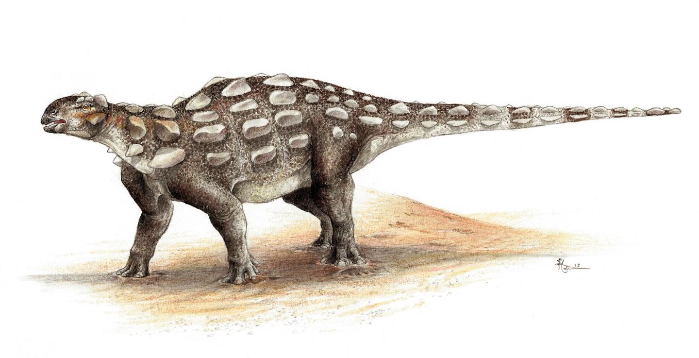 Científicos descubren nuevas especies de dinosaurios con una armadura puntiaguda extraña
