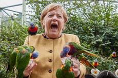 Angela Merkel es picoteada por un loro