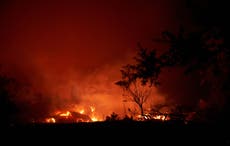 Compañía eléctrica de California acusada de homicidio involuntario por incendio forestal en 2020