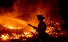 Avanza combate a incendio forestal en el norte de California