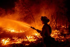 Avanza combate a incendio forestal en el norte de California