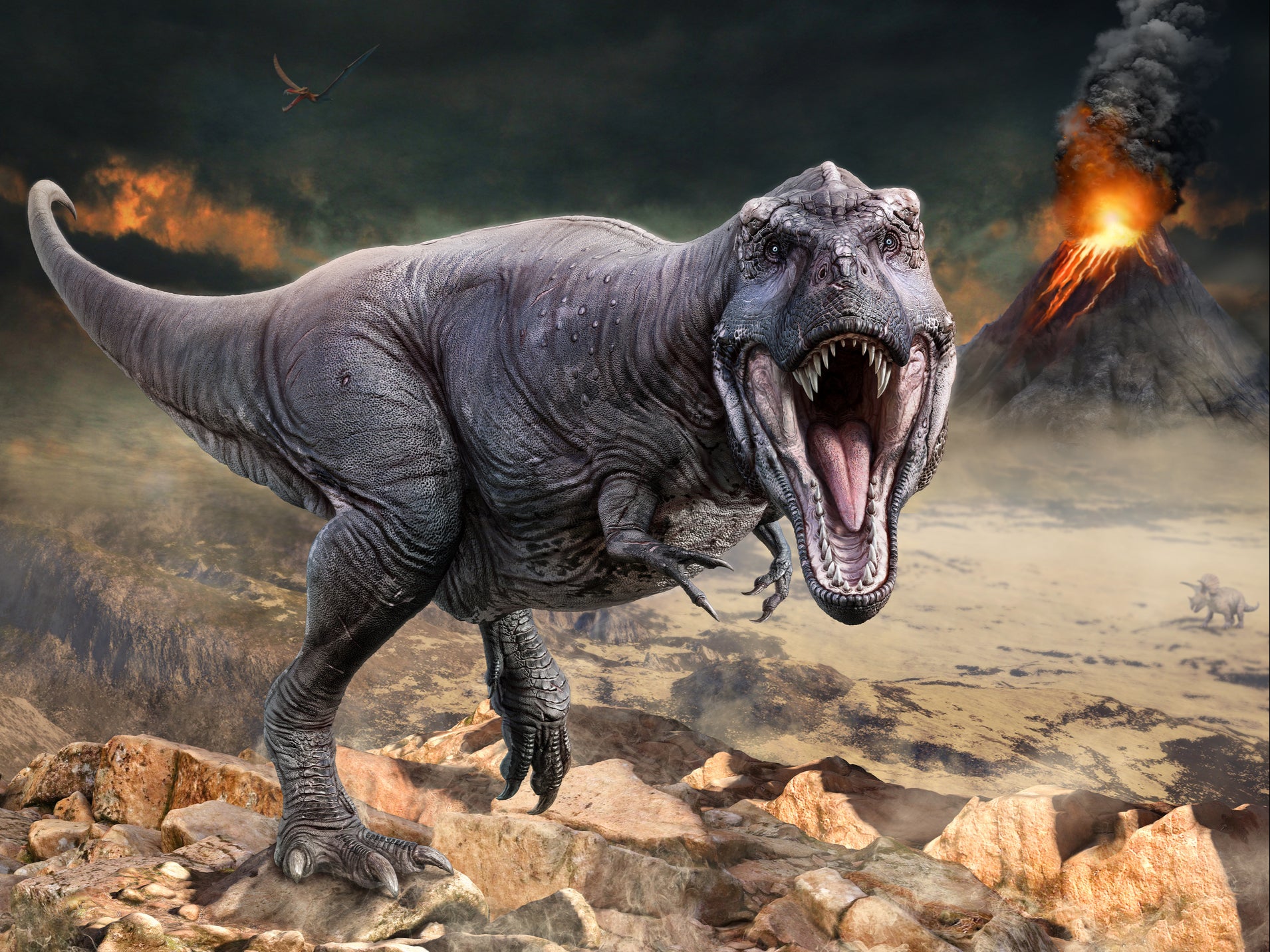 Fósil de 225 millones de años desafía las teorías sobre el tamaño de los dinosaurios