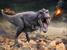 Descubren fósil de 225 millones de años que desafía teorías sobre los dinosaurios