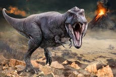 Fósil de 225 millones de años desafía las teorías sobre el tamaño de los dinosaurios